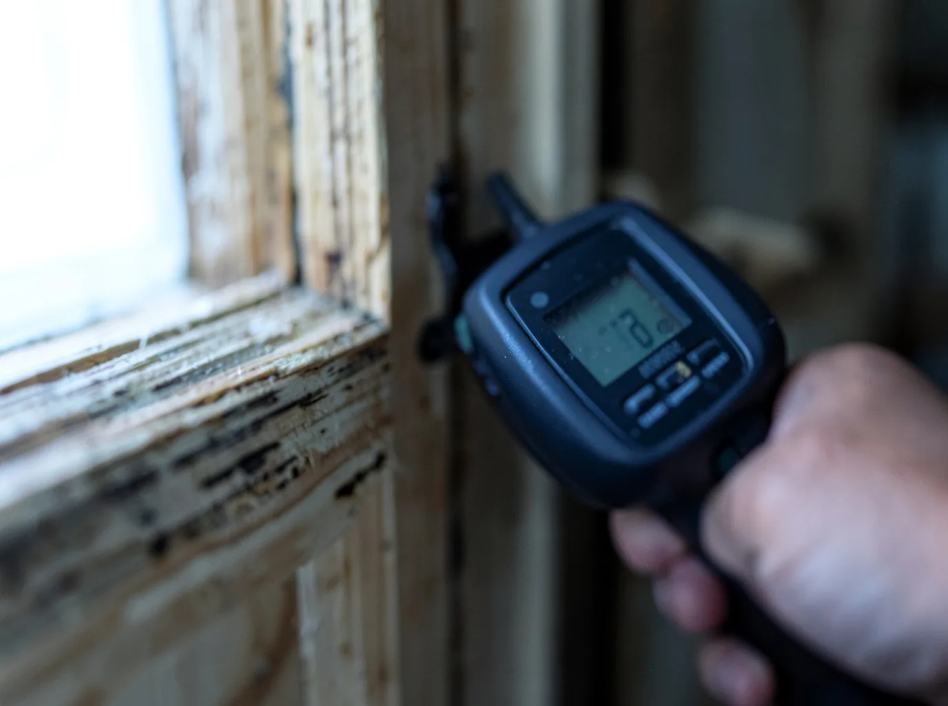 Moisture Inspection And Documentation in Skykomish, WA